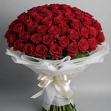 Букет 101 Красная роза Блэк Мэджик #REPLACE_PRED# Тарко-Сале