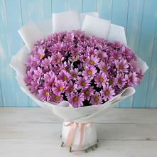 Букет цветов из:  Хризантемы в Тарко-Сале