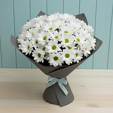 Букет цветов из:  Хризантемы в Тарко-Сале