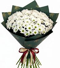 Букет цветов из:  Хризантемы в Тарко-Сале