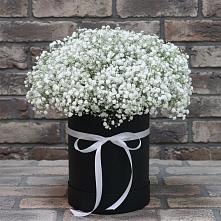 Цветочная композиция из Гипсофила в шляпной коробке в Тарко-Сале