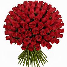 Букет Красные розы Чери Лав #REPLACE_PRED# Тарко-Сале