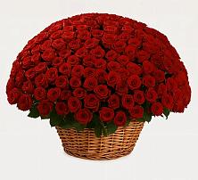 Премиум букет из: Розы #REPLACE_PRED# Тарко-Сале